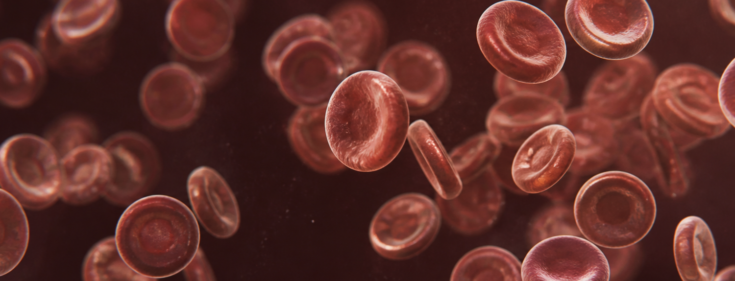 Red Blood Cells microscope-inspired illustration